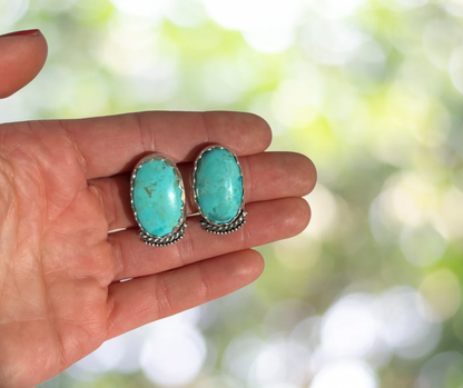 Robin Egg Turquoise Earrings